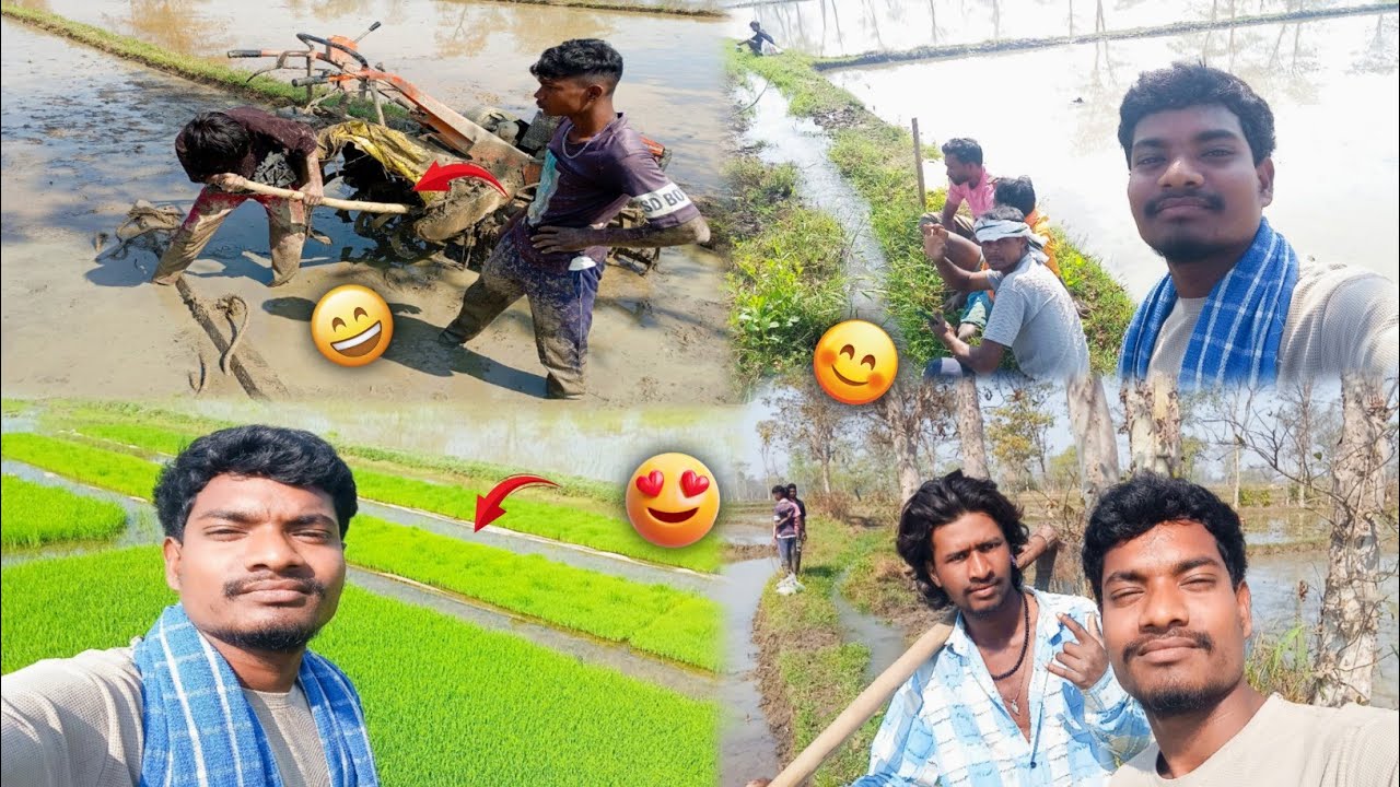 ଚାଲ ଜିମା ଖେତକେ ☺️