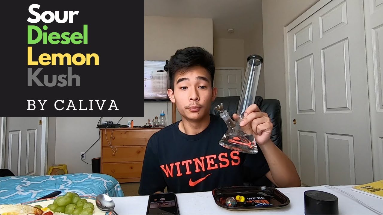 Weed Review: Sour Diesel Lemon Kush by Caliva, Kyle's High Supply