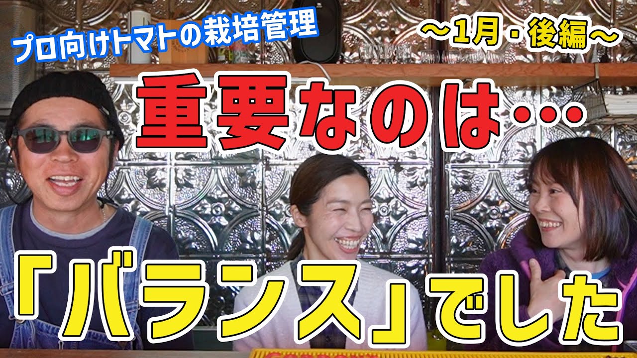 210 重要なのは…「バランス」でした（プロ向けトマトの栽培管理）