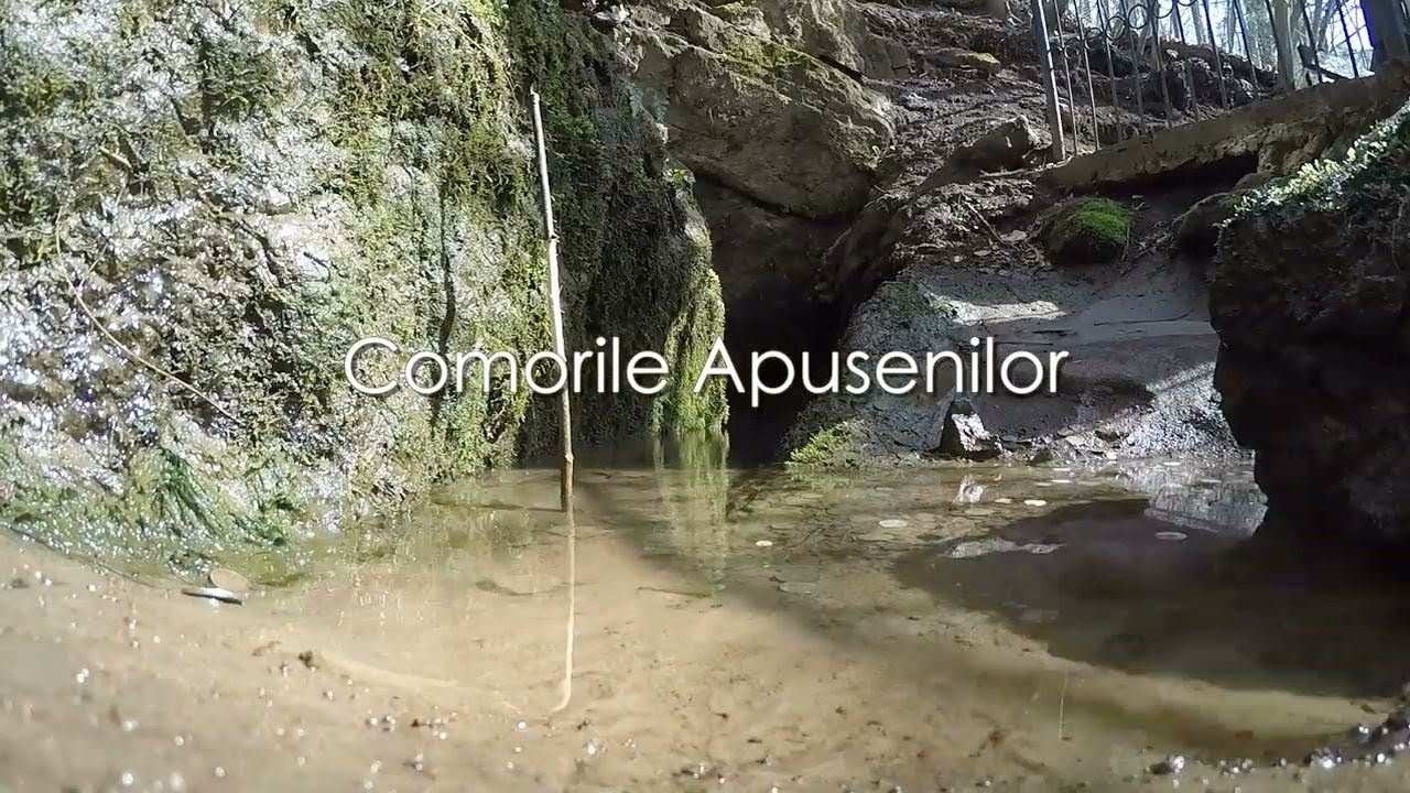 Exclusiv în România: Comorile Apusenilor (@TVR1)