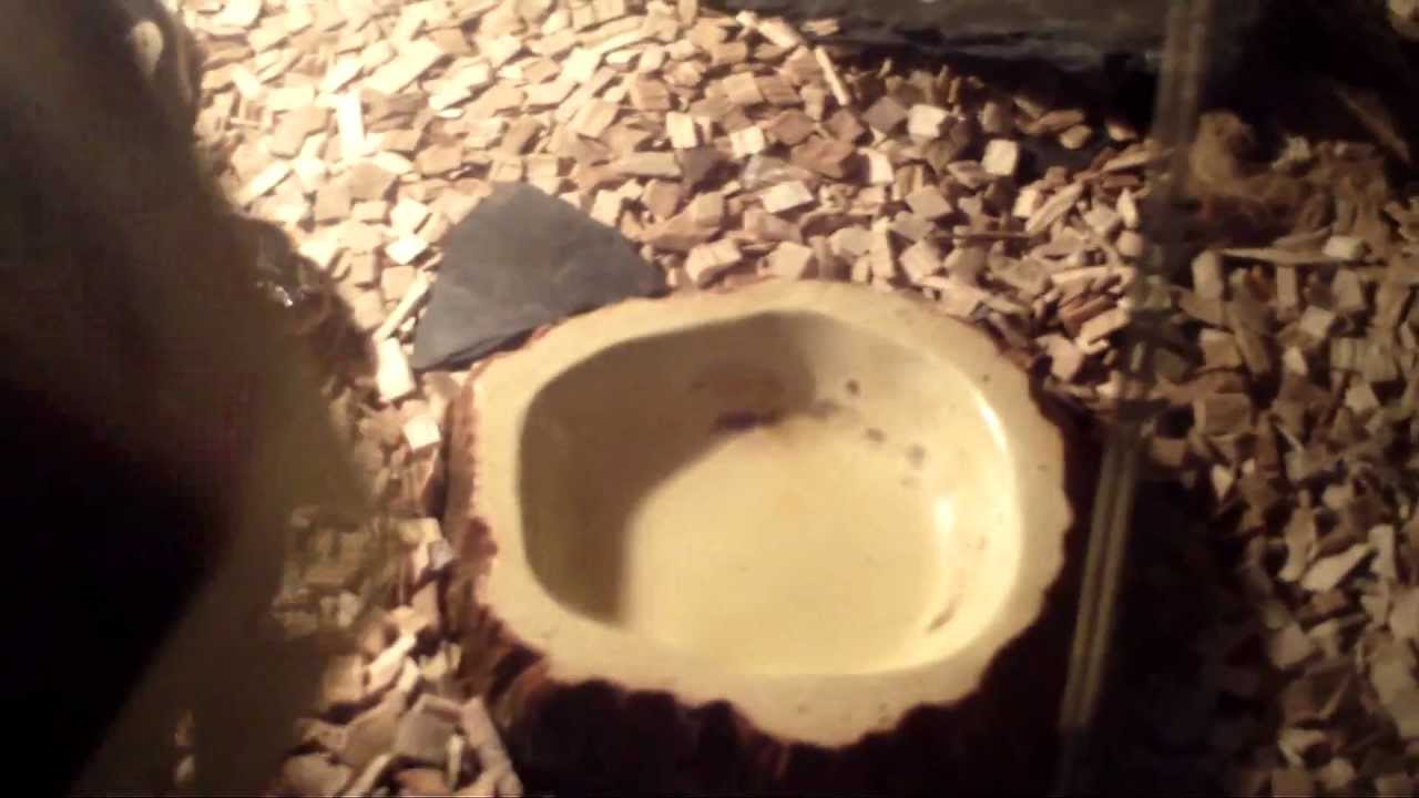 welcom křečku.MP4