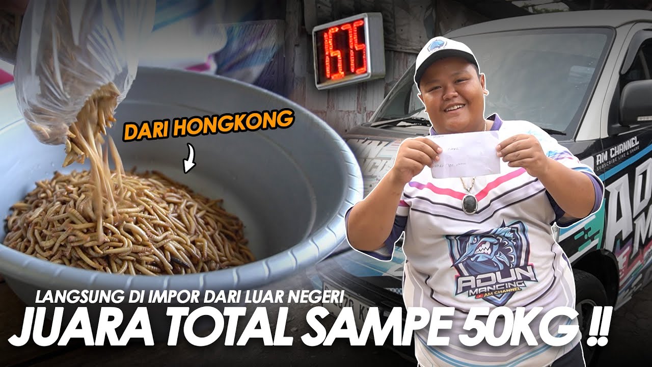 HEWAN MELATA DARI LUAR NEGERI ?! BIKIN TOTAL TIMBANGAN SAMPE 50kg, IIHH NGERIII || Am#599