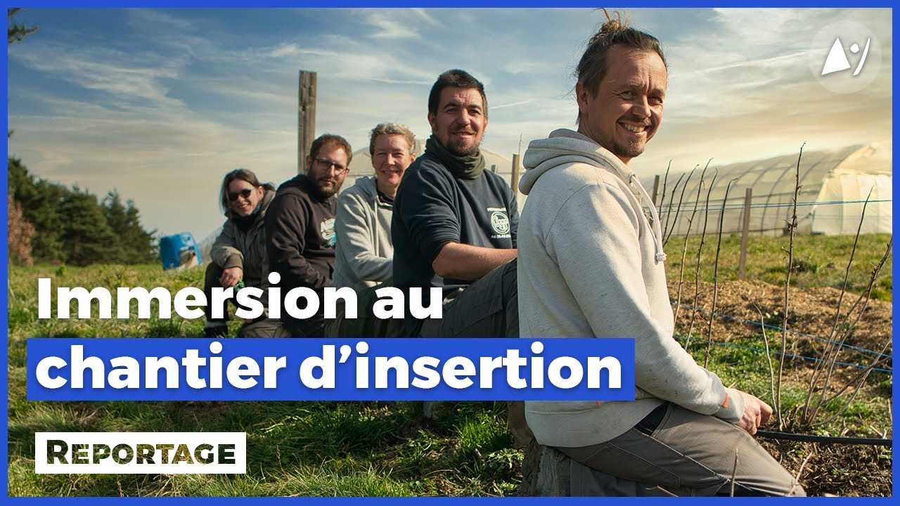 Immersion dans un chantier d'insertion