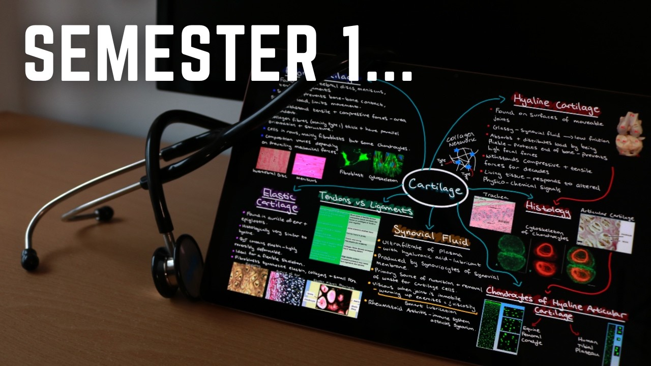 What did I learn in the 1st Semester of Med School? | Edinburgh University