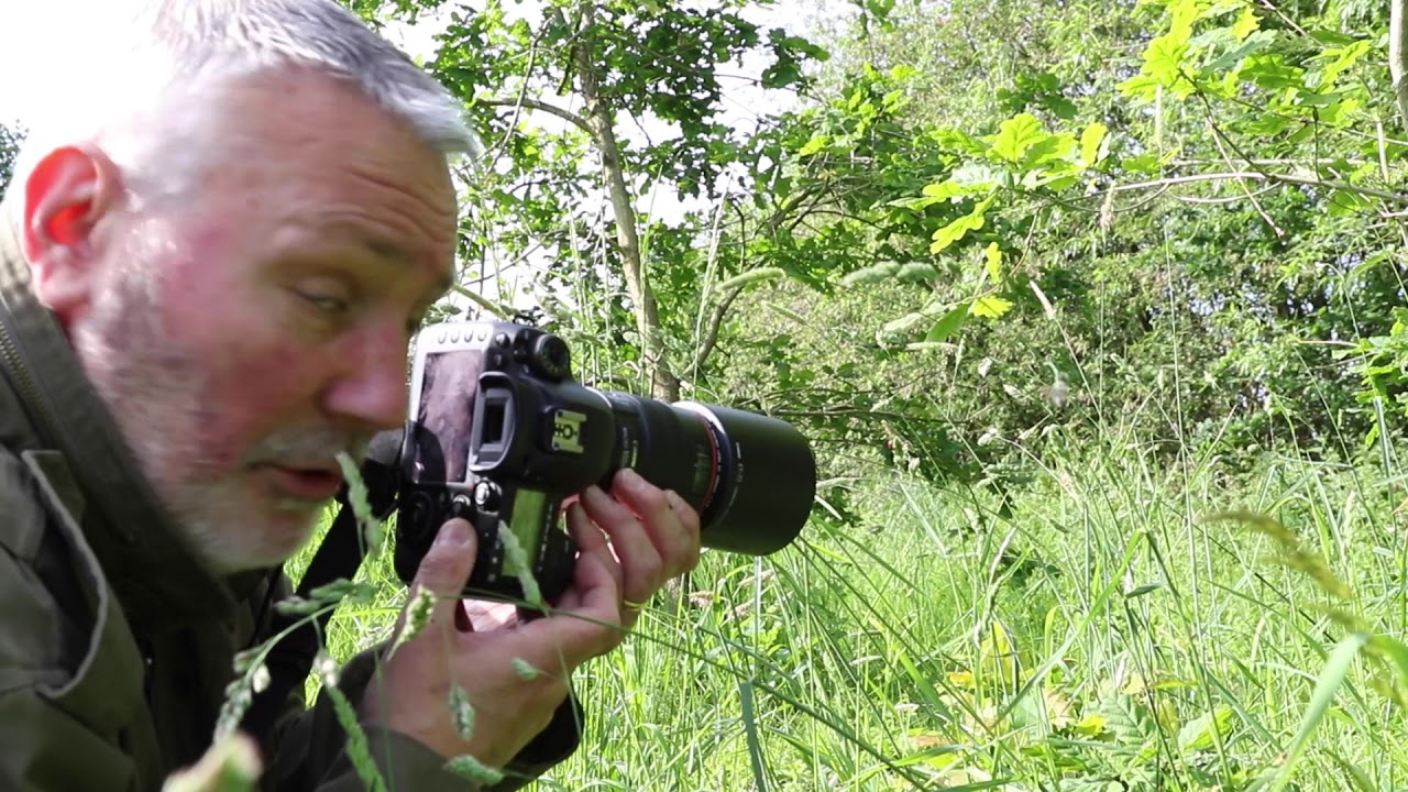 Insects and Macro. UK Nature and Wildlife photography.