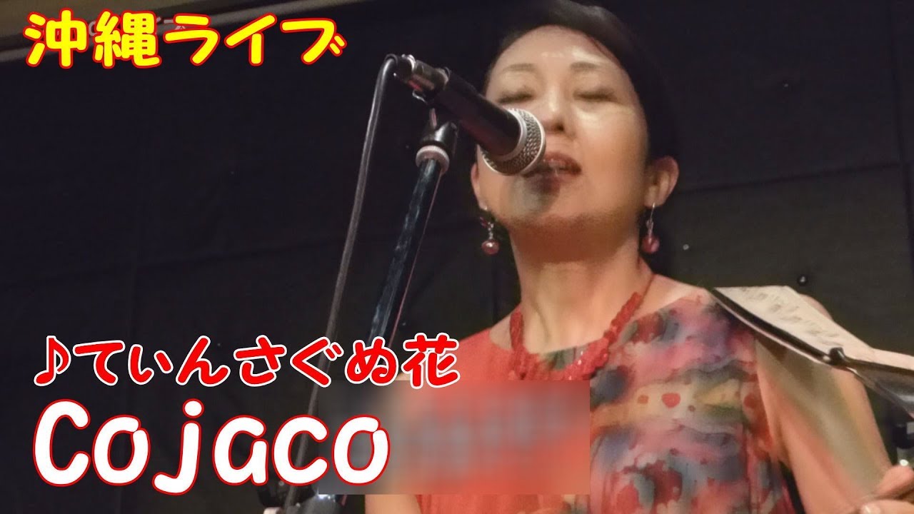 「♪てぃんさぐぬ花」（Cojaco）
