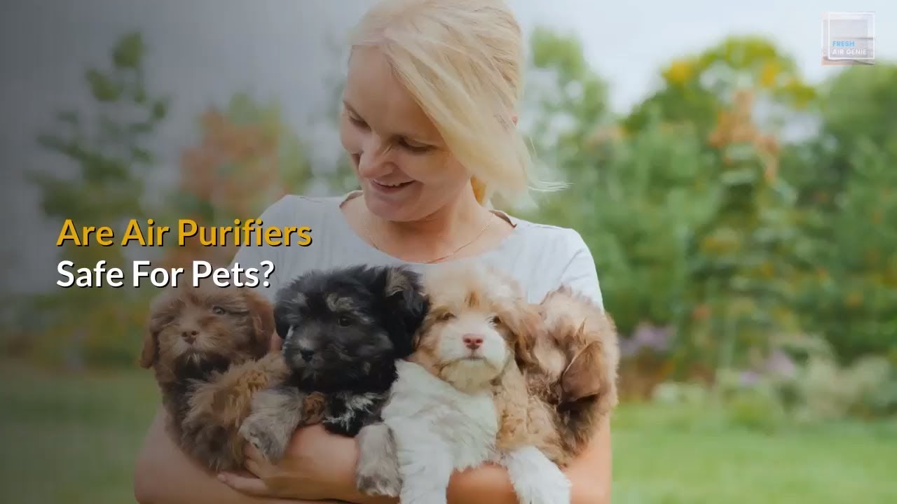 Are Air Purifiers Safe For Pets? Everything You Need To Know