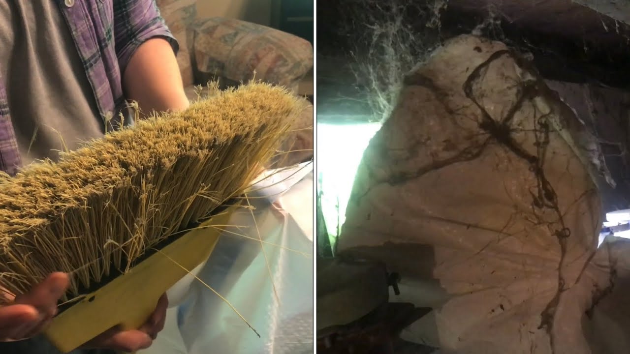 removing “big time” COBWEBS “without” getting your broom dirty