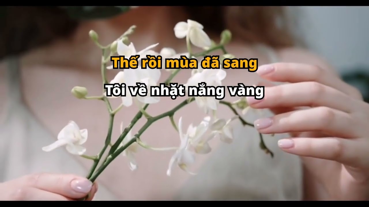 THẢ TRÔI VỀ TRỜI (Hiếu Minh) - KARAOKE