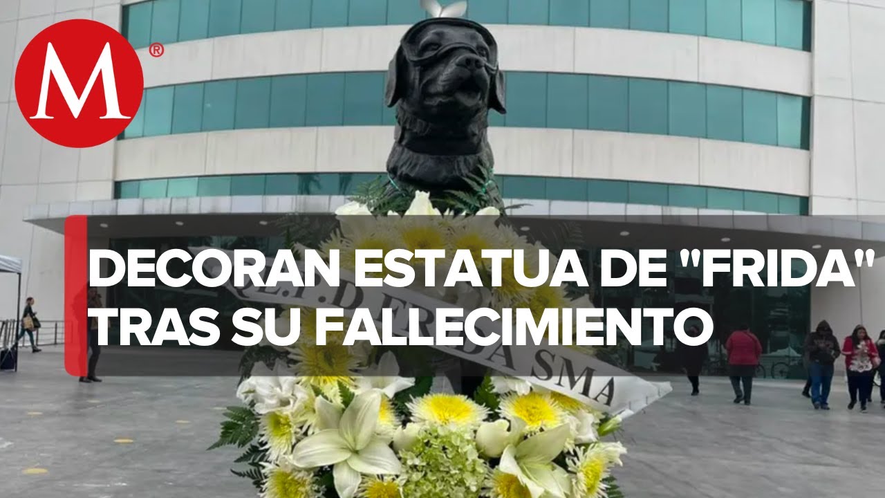 Colocan ofrenda a Frida, rescatista canina en el sismo del 2017, en Monterrey