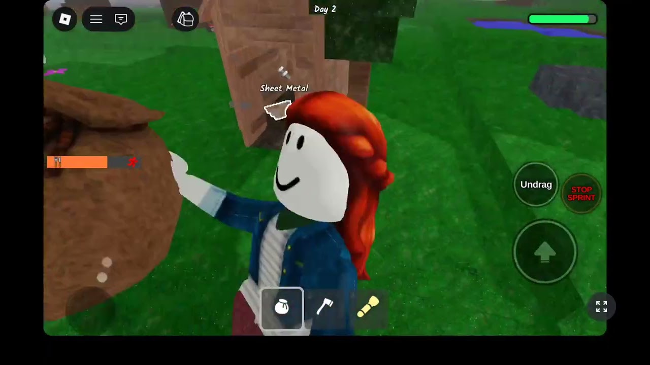 Playing 99 nights in the forest