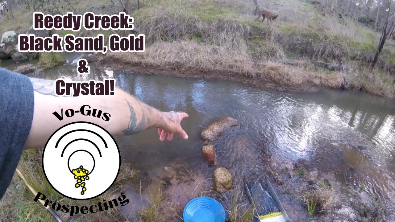 Reedy Creek: Black Sand, Gold & Crystal!