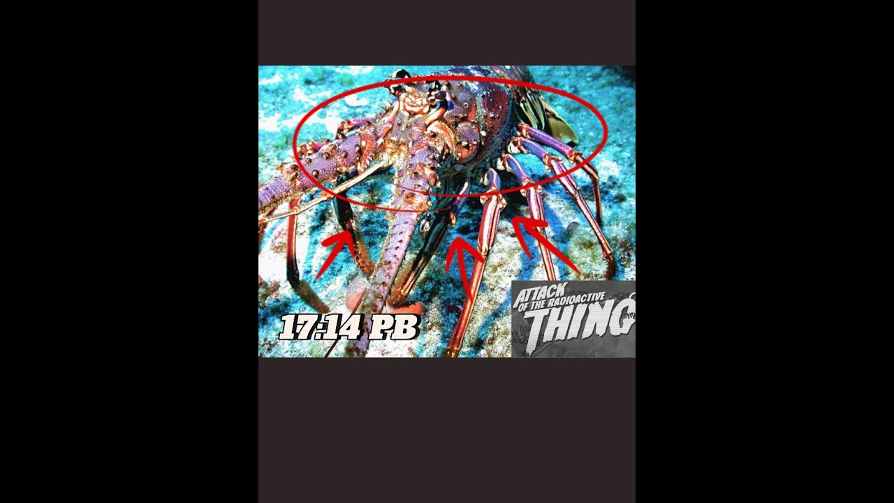 pb for attack 2 player coop, dc, with no ff cards