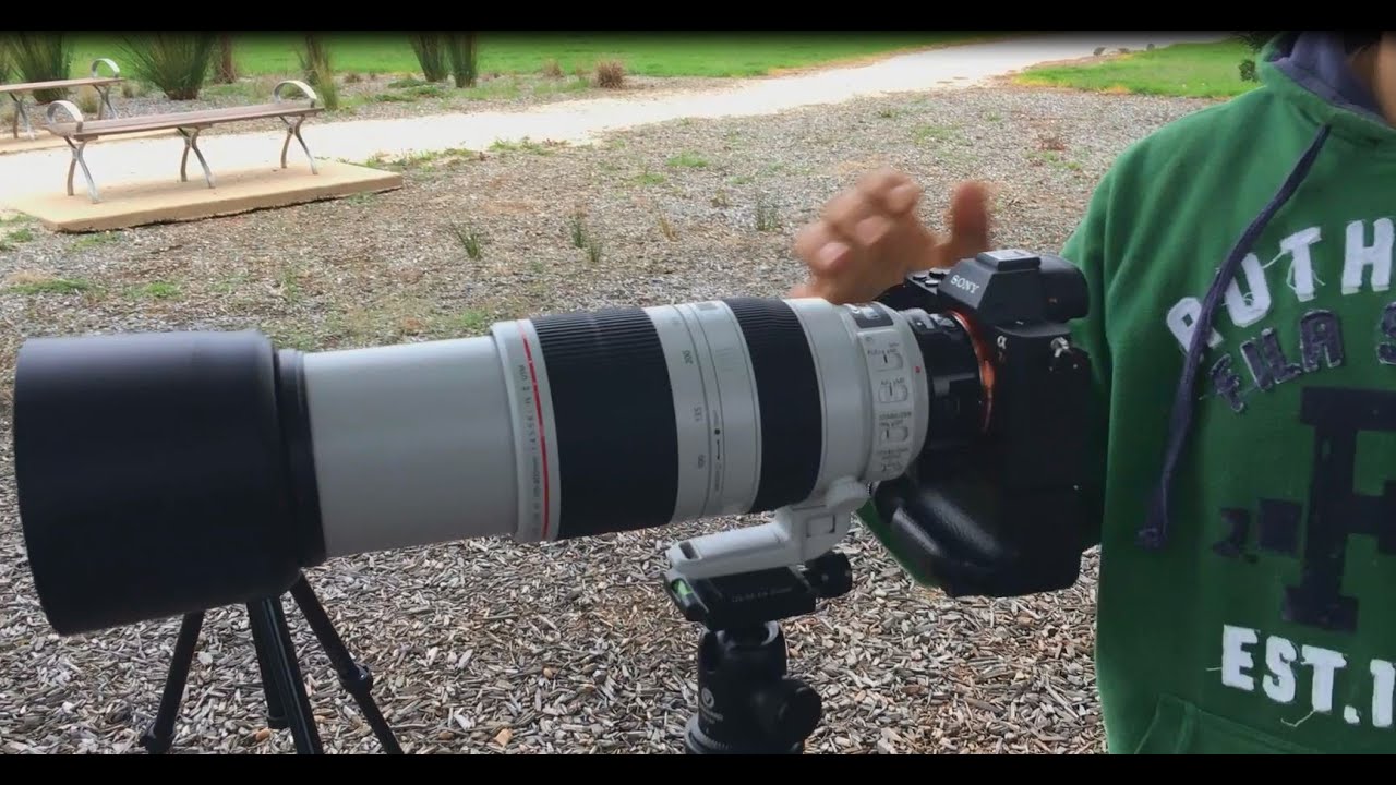 Metabones IV EF to E Mount Canon 100-400mm f/4.5-5.6L IS II USM Sony A7RII A7II