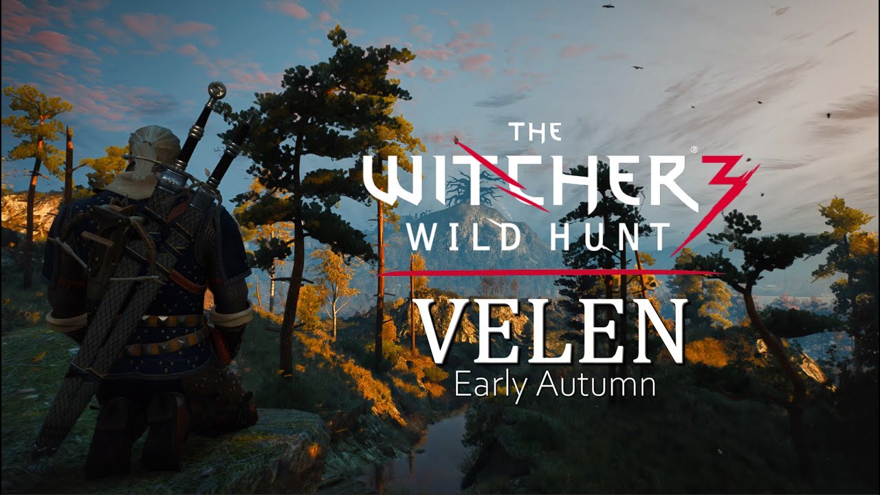 Witcher 3 - Velen - Early Autumn - Music & Ambience - Meditate Like a Witcher