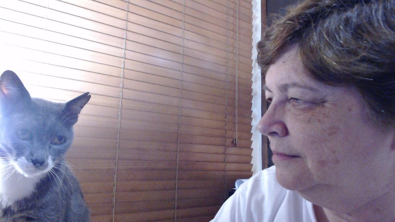 DRAGÕES. LIVE COM SHELL Y ANN & VELUDO. 5\9\2020