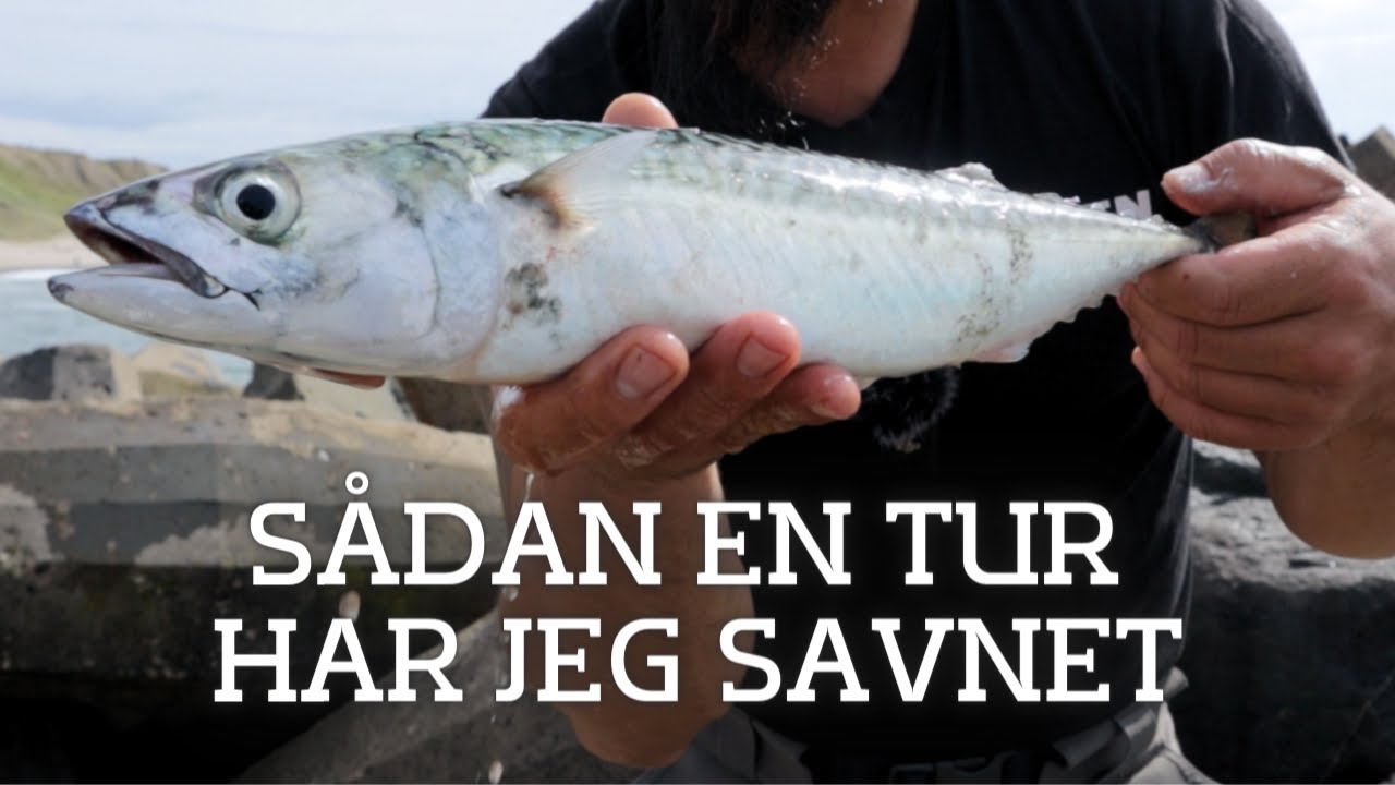 Makrelfiskeri Ved Bovbjerg Fyr • BONANZA FISKERI • Midt På Dagen