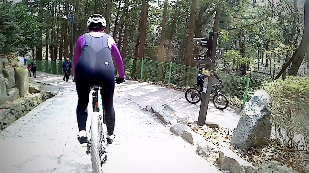 쇠미산~백양산 벗꽃라이딩 SSmtb