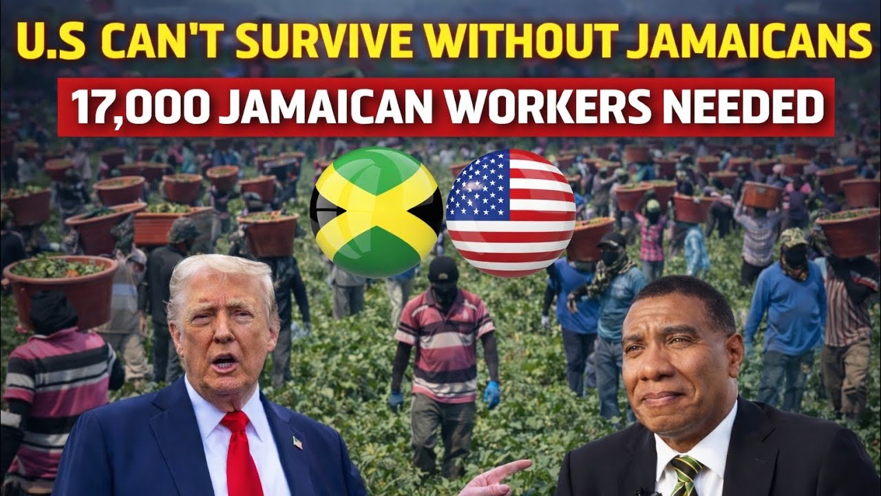 Why the U.S. Needs 17,000 Jamaican Workers Every Year  And What Happens If That Stops