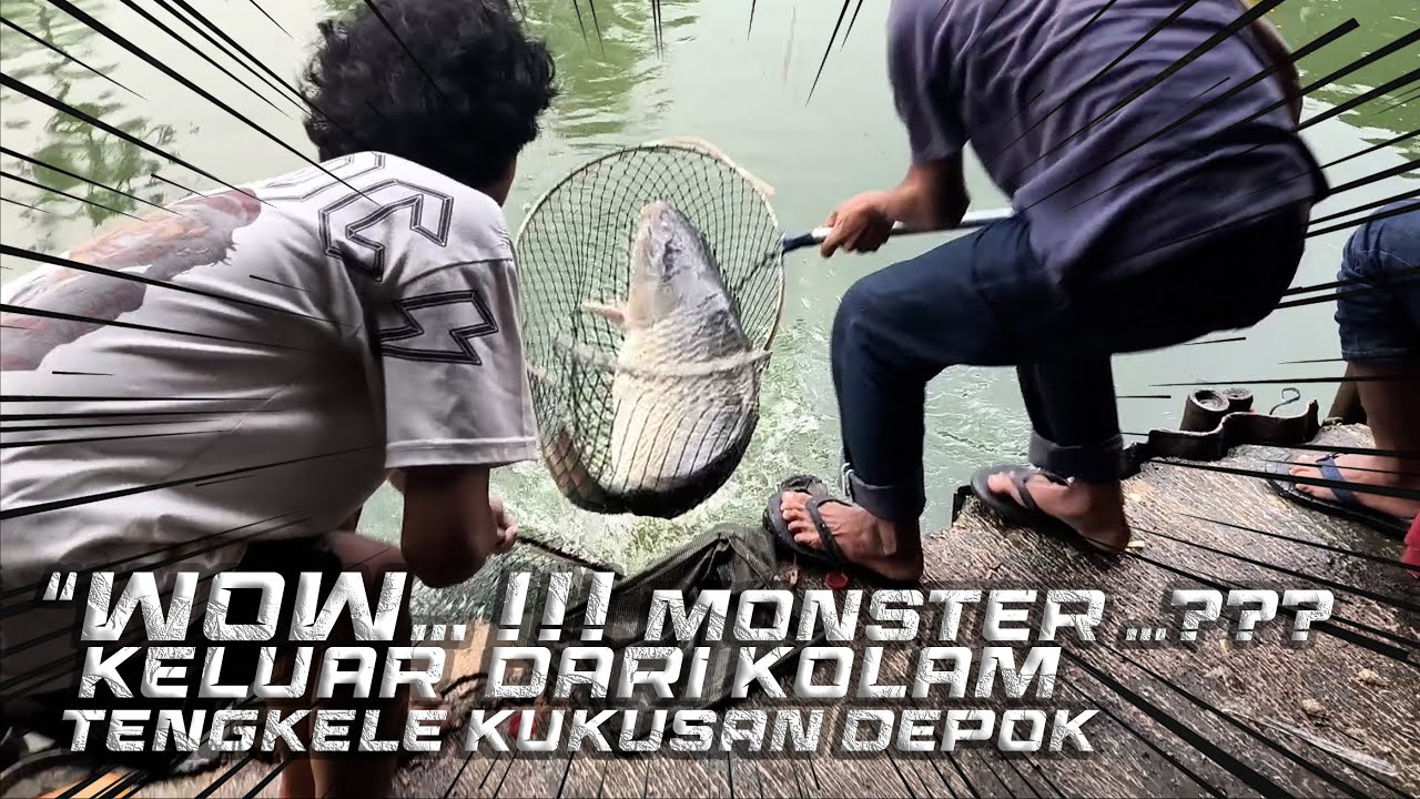 WOW ...!!! MONSTER KELUAR DARI KOLAM TENGKELE KUKUSAN DEPOK