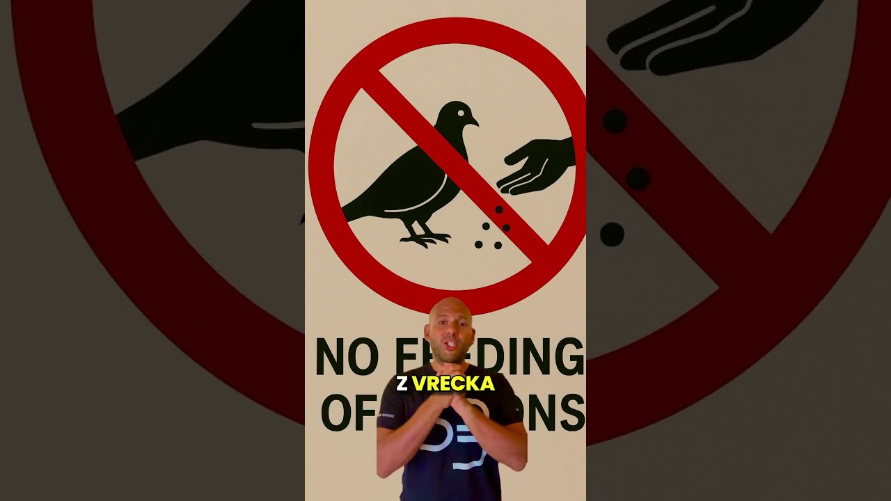 Singapur - mega pokuty za veci, ktor&eacute; rob&iacute;&scaron; aj ty #bubo #travel #dovolenka #singapur #cestovanie