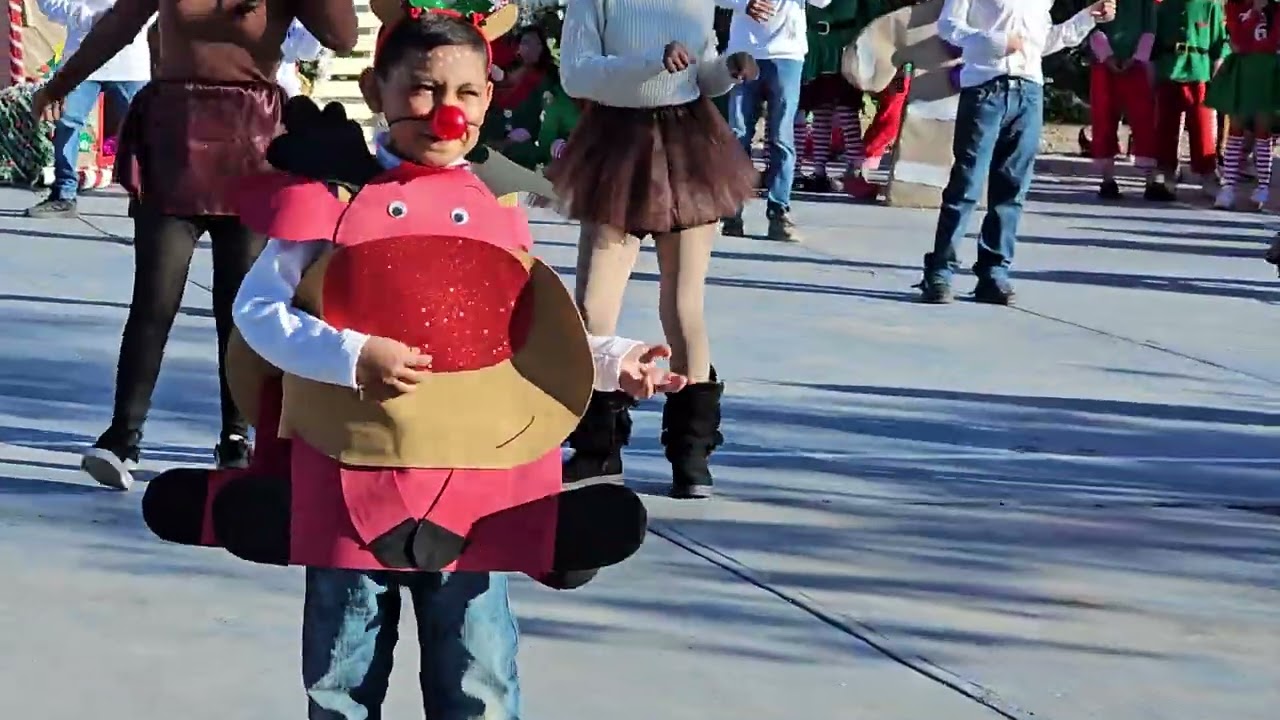 Bailable los Renitos bailan Tuins