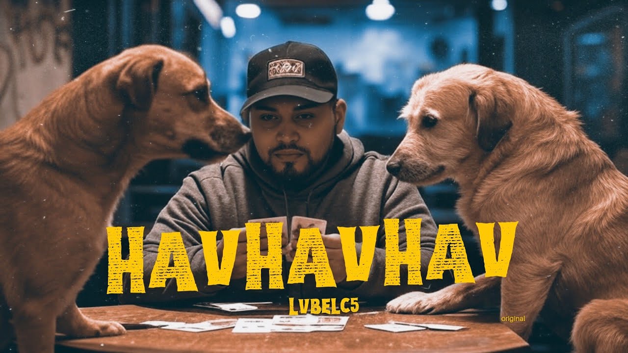 LvbelC5 - HavHavHav (Official Video)