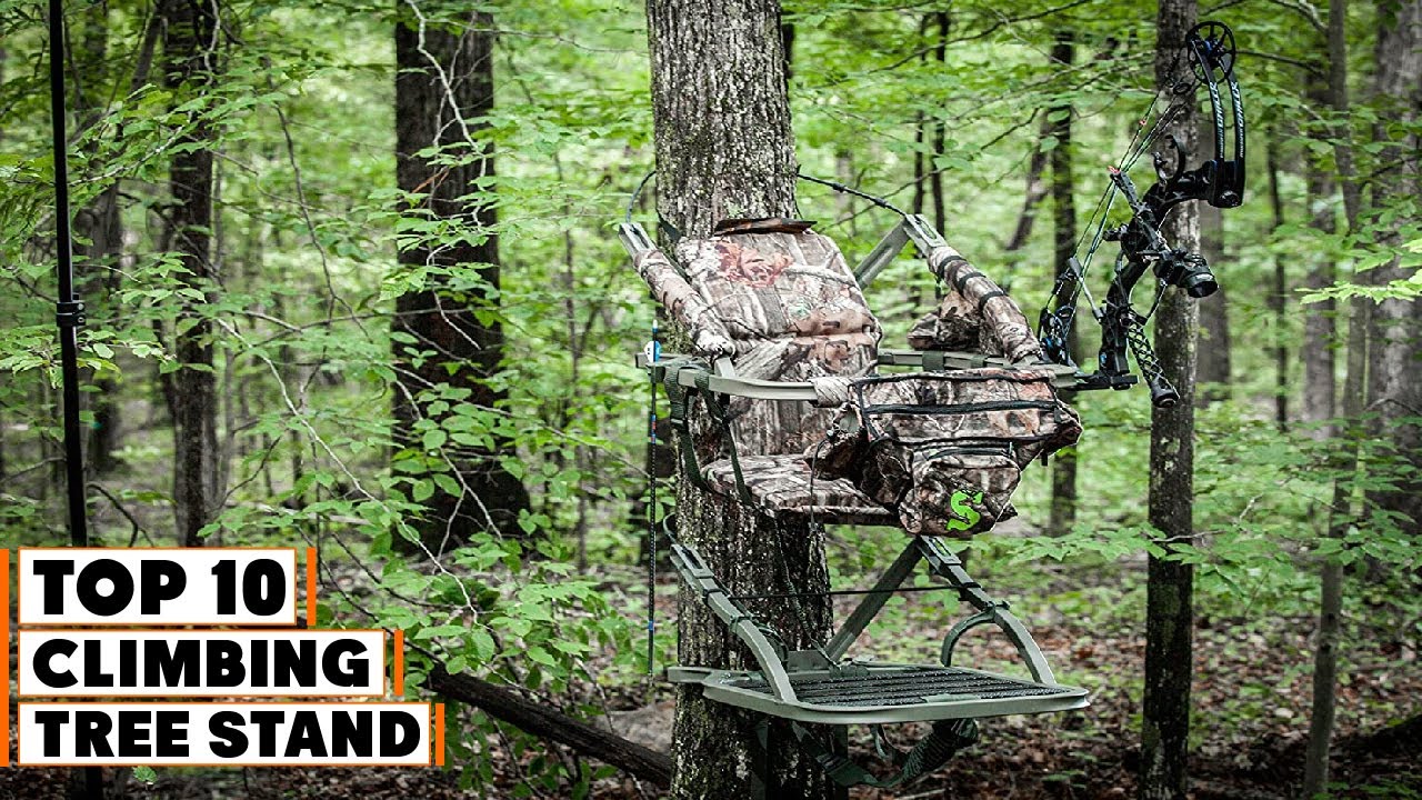 Best Climbing Tree Stands in 2025 (Top 10 Picks)