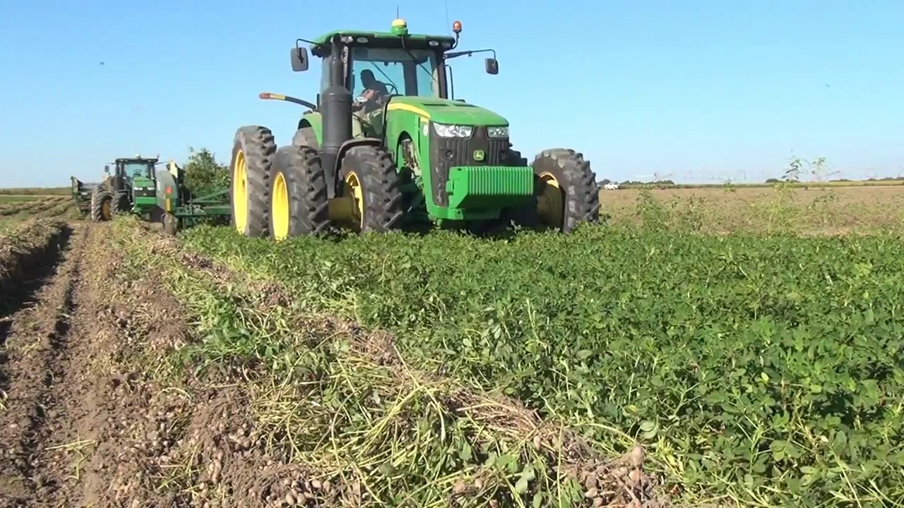 Through the Eyes of a Farmer: Tim McMillan, Enigma, Georgia