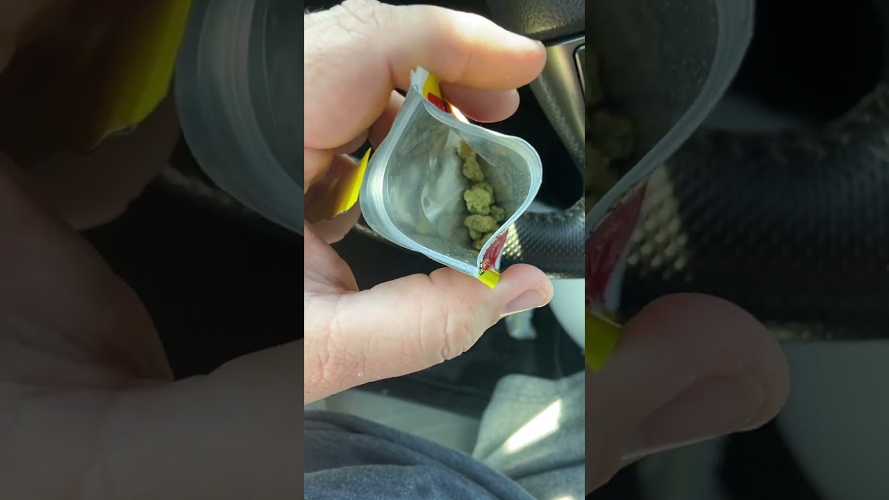 Dtw Gary Payton thca free sample 🔥part 1
