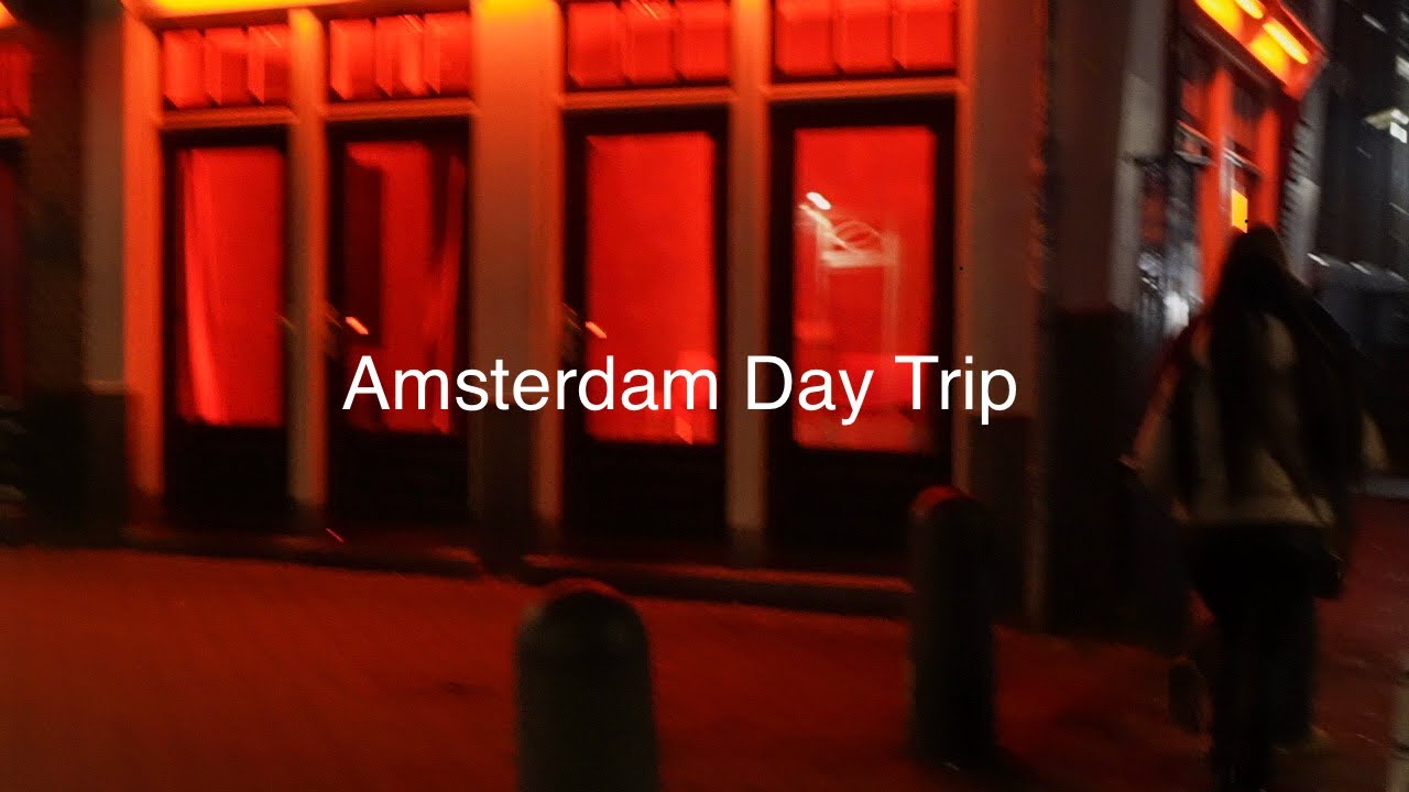 From Van Gogh to the Red Light District | Wild Amsterdam Day
