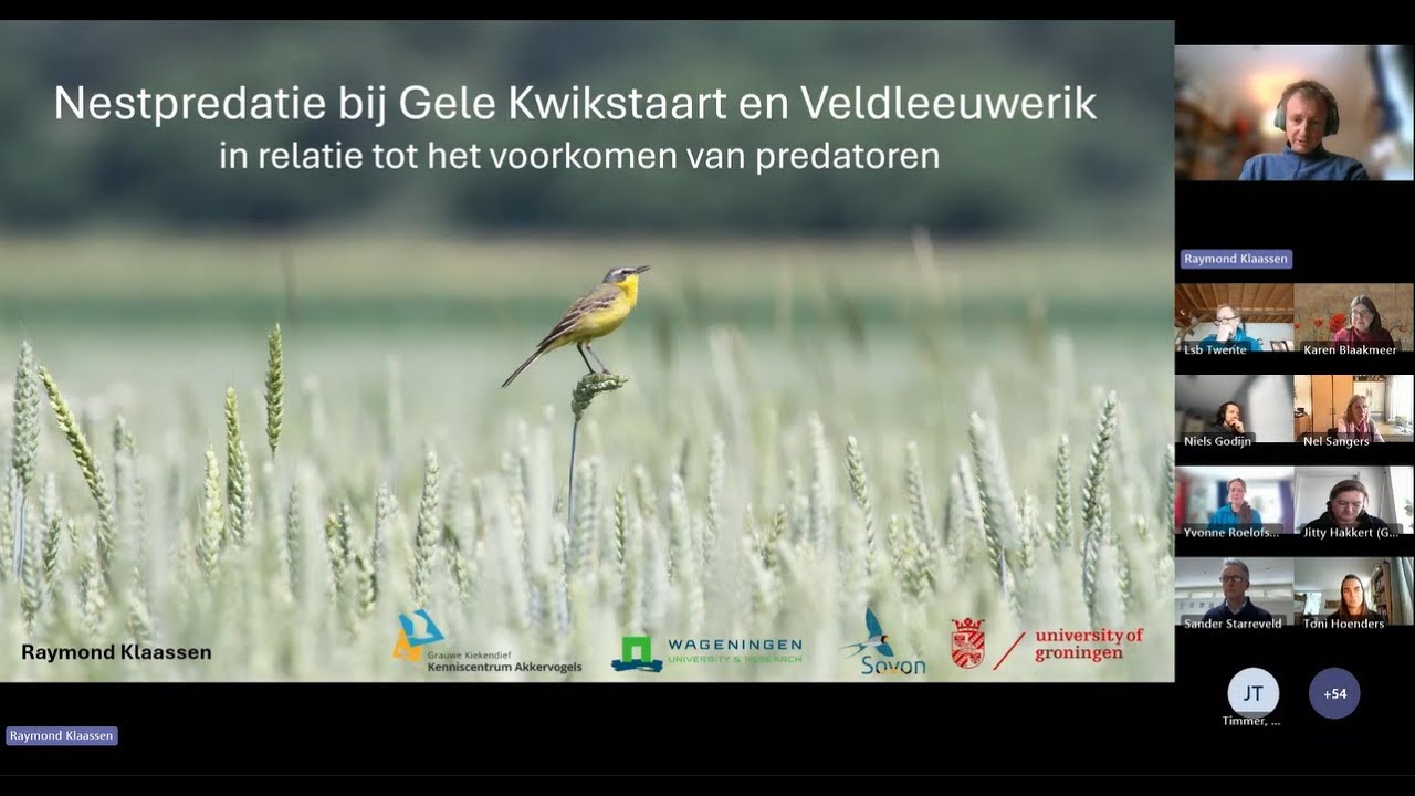 Lezing: Nestpredatie bij Gele kwikstaart en Veldleeuwerik - Raymond Klaassen
