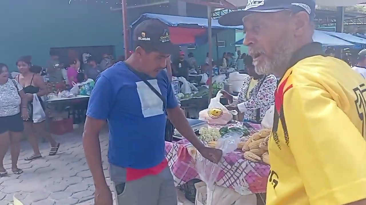 SÍLVIO NÃO AGUENTOU VER AS ESPIGAS DE MILHO 🌽