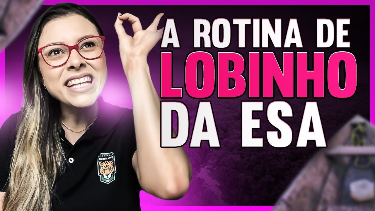 🇧🇷 Como foi o meu Primeiro ano como Sargento na Tropa. (Sargento tem vida?)