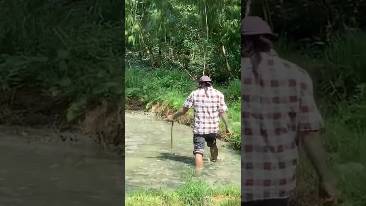 Om Gondrong dapat Belut Gede...  #shorts #toraja #villagelife #pijp #tanatoraja #eel #belut #viral