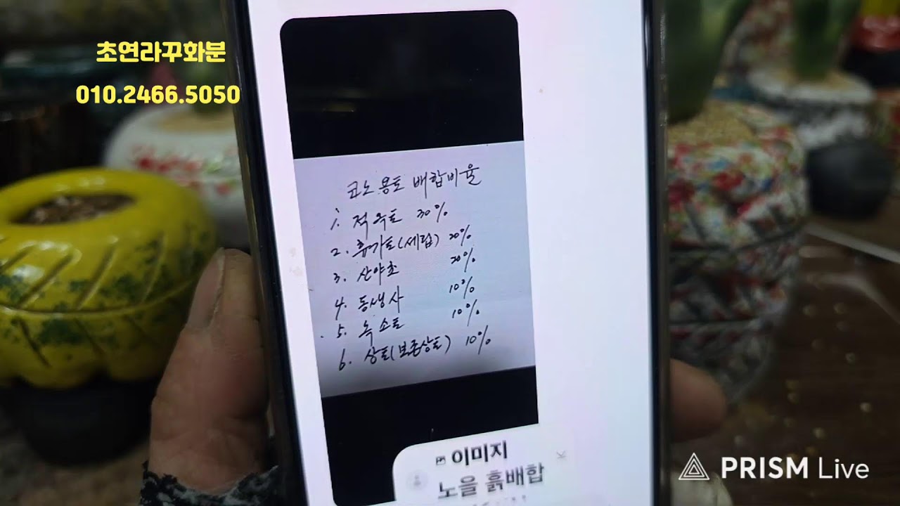 초연라꾸화분 라이브 방송