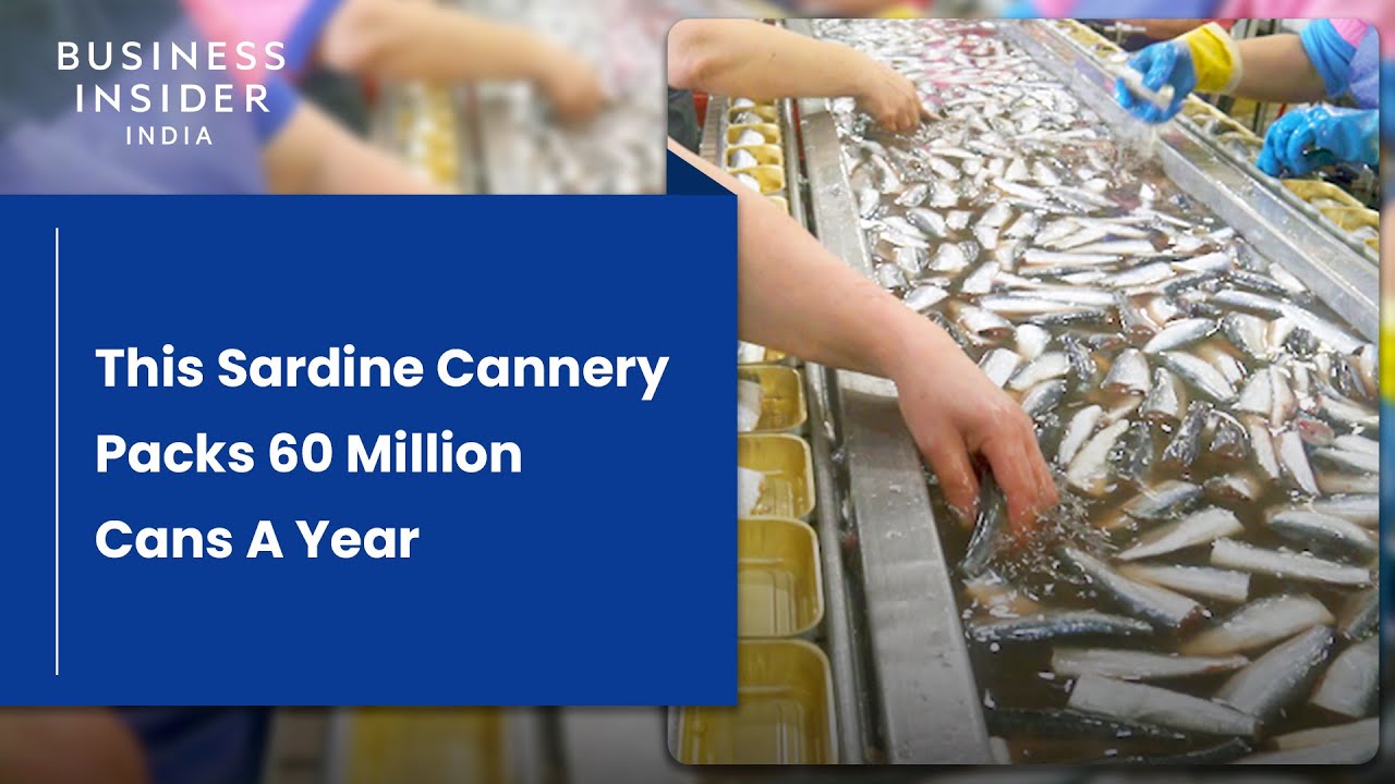 How The World&rsquo;s Longest-Running Sardine Cannery Packs 60 Million Cans A Year | Big Business
