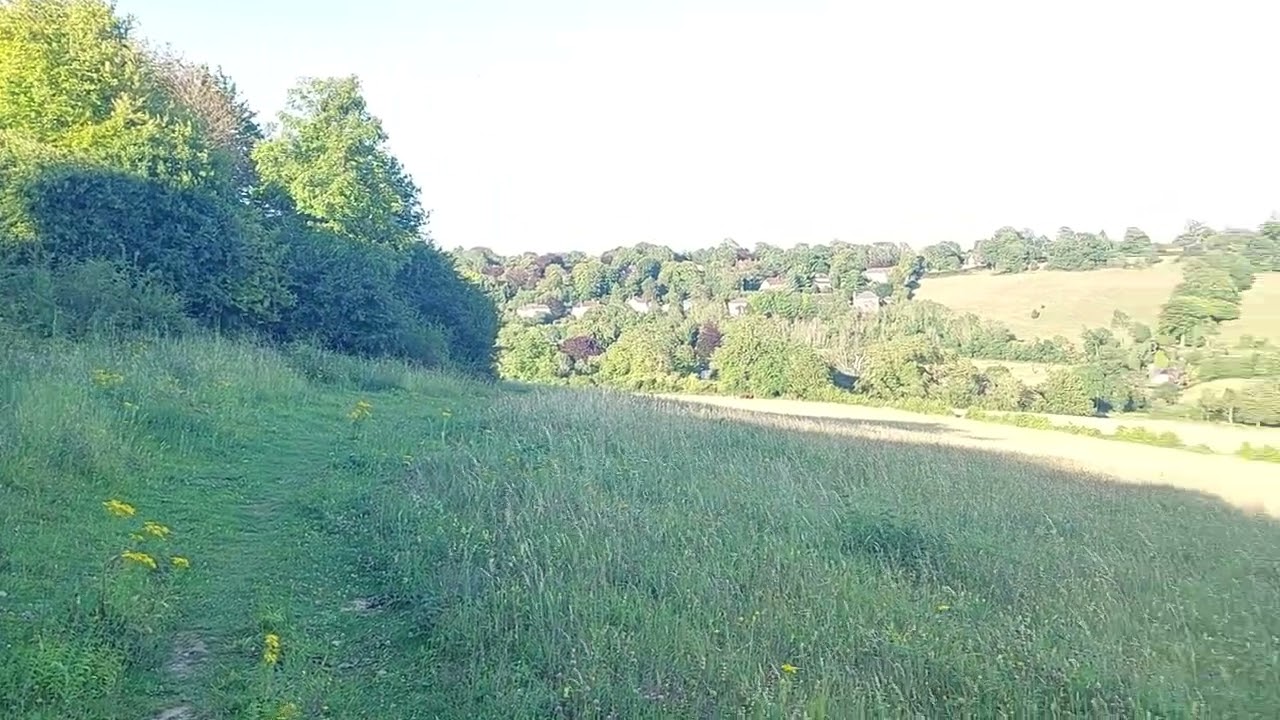 Chipstead Downs Views and Greenery, 19/7/2024