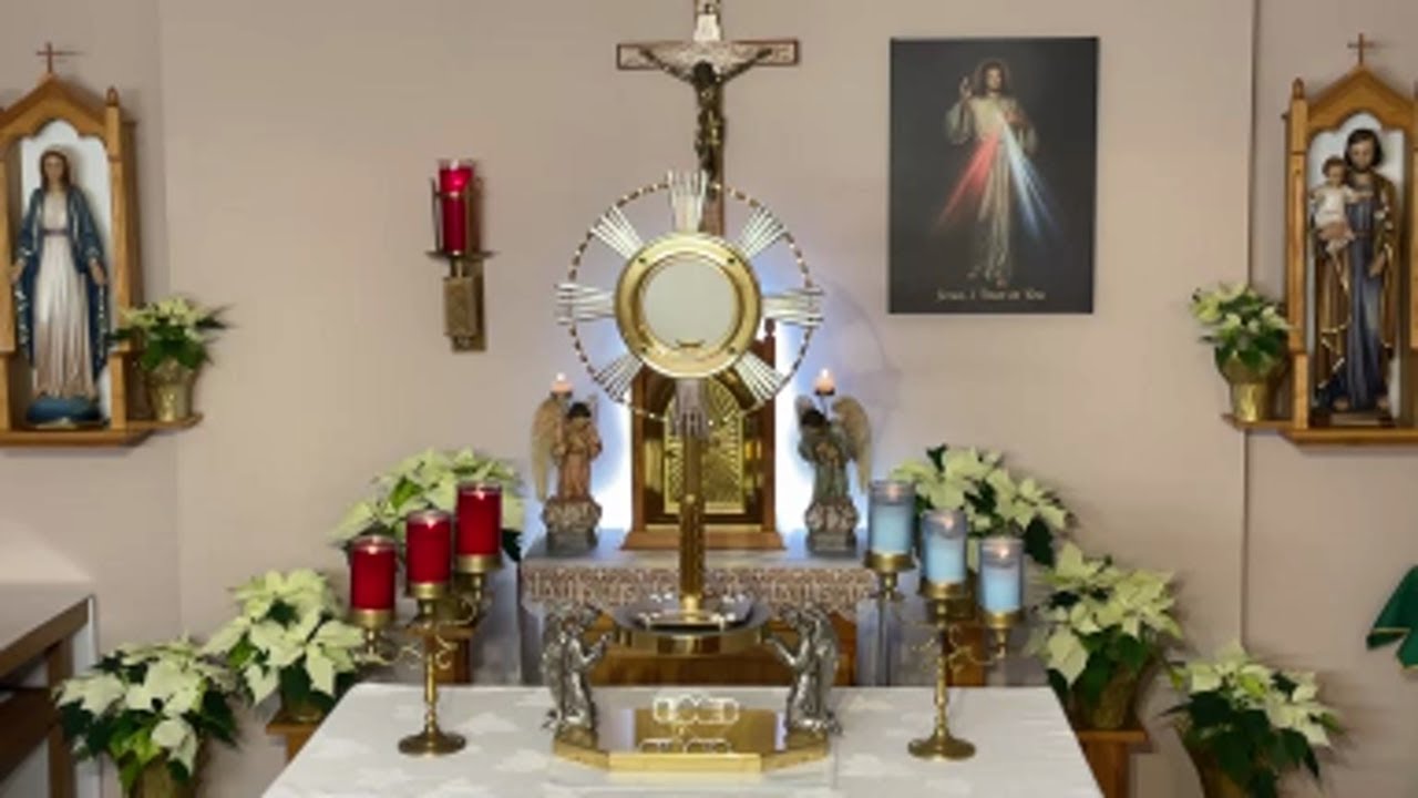 LIVE Eucharistic Adoration - Sisters of Divine Mercy