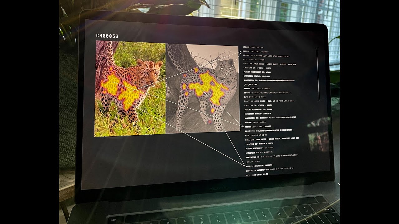 Wildbook Introduction for researchers & conservationists