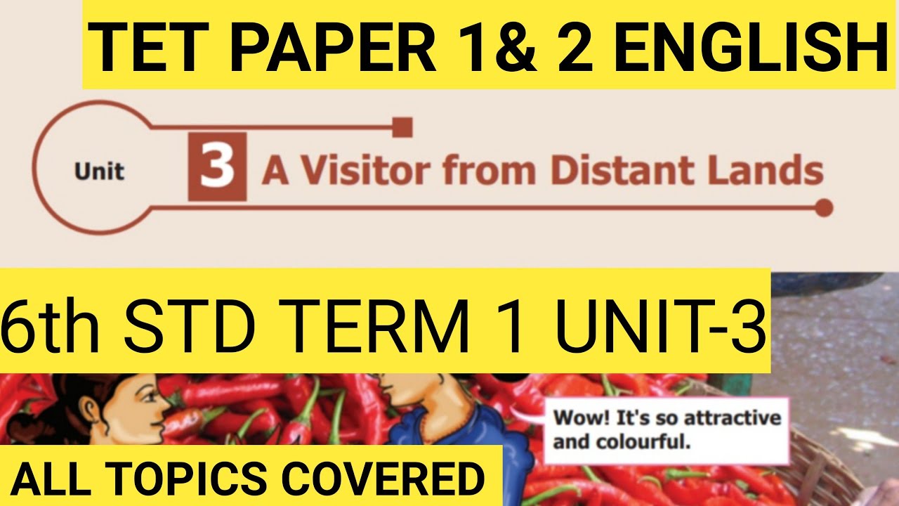 6th std English Term 1 unit 3 || TET PAPER 2 ENGLISH