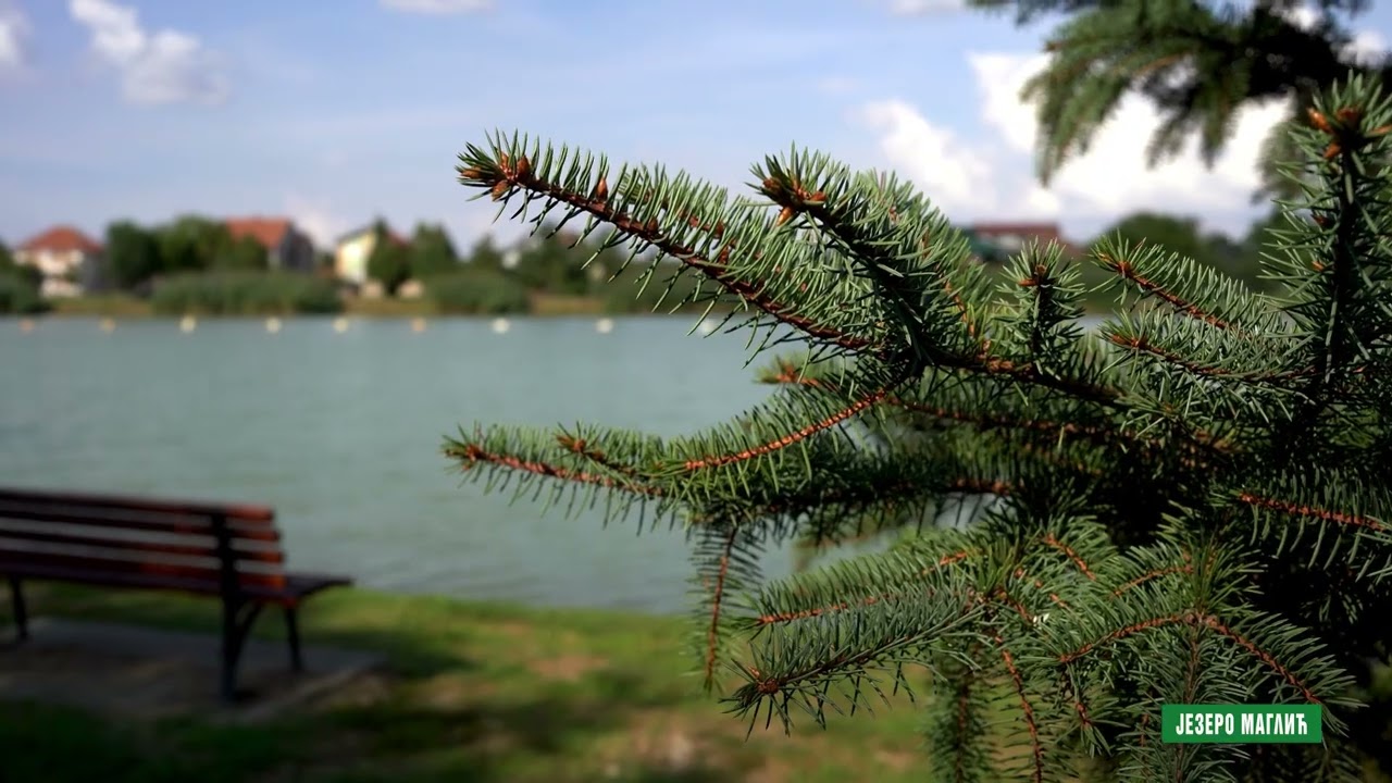 Reke i jezera - Jezero Maglić