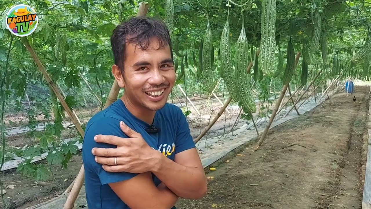 Cyclist? Computer Graduate? at ngayon ay first time Farmer na nagtanim ng Ampalaya na GALAXY MAX F1