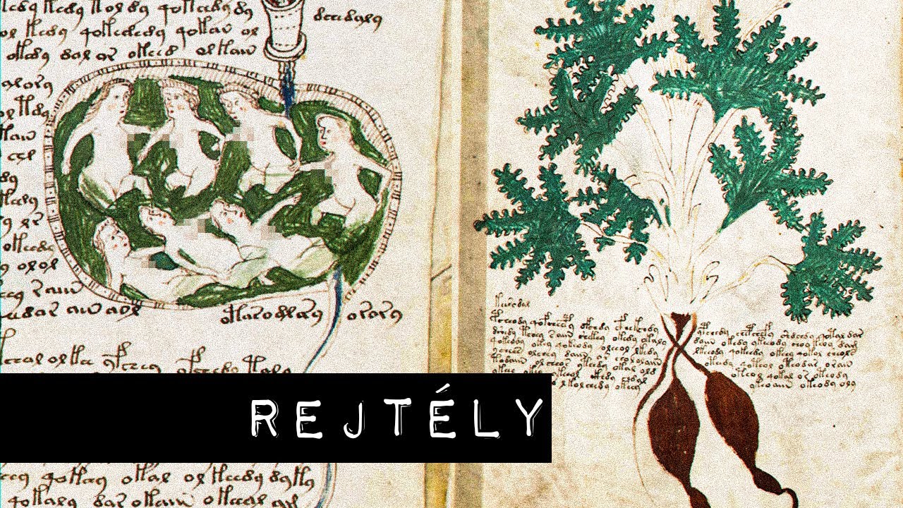 A Voynich-kézirat rejtélye