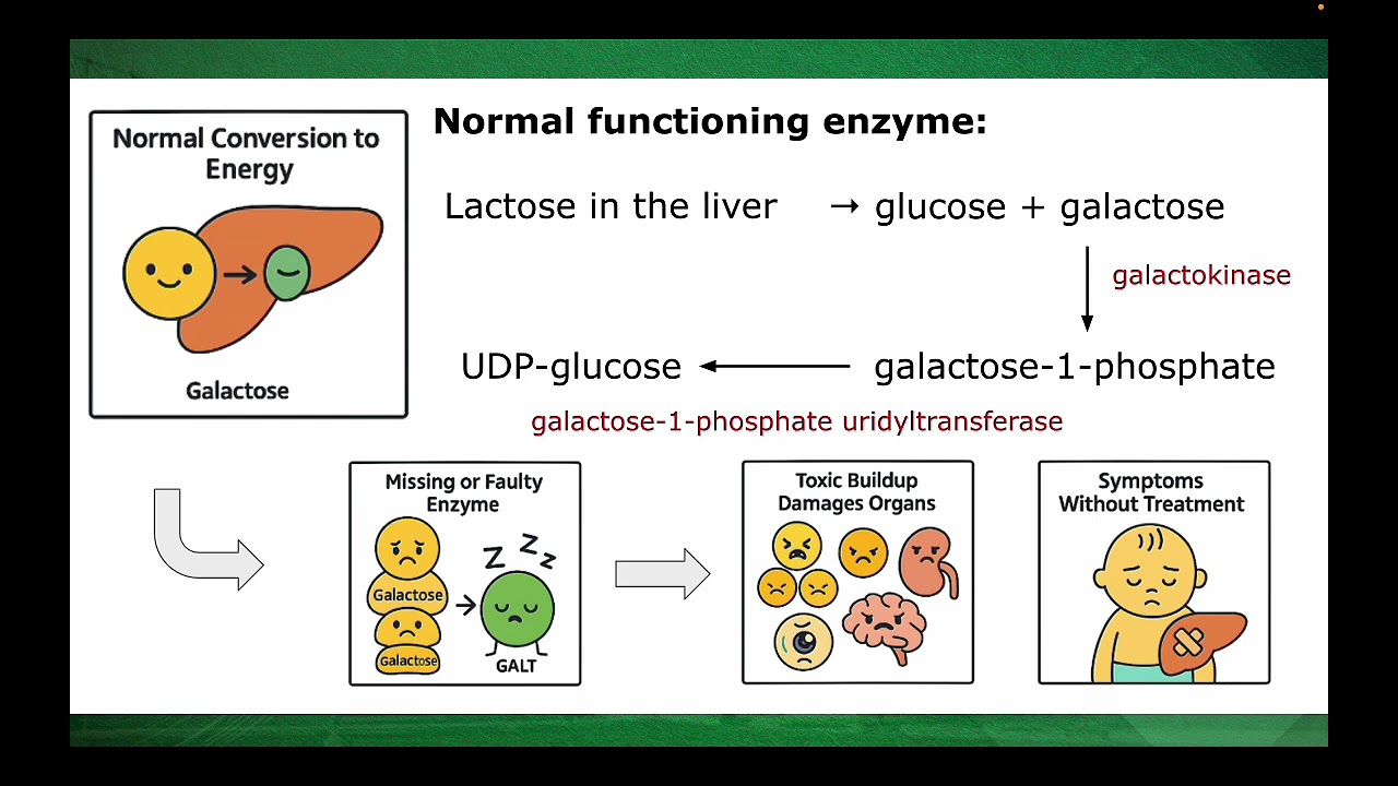 Understanding Monosaccharides and Blood Chemistry | SHS Biochemistry Part 2