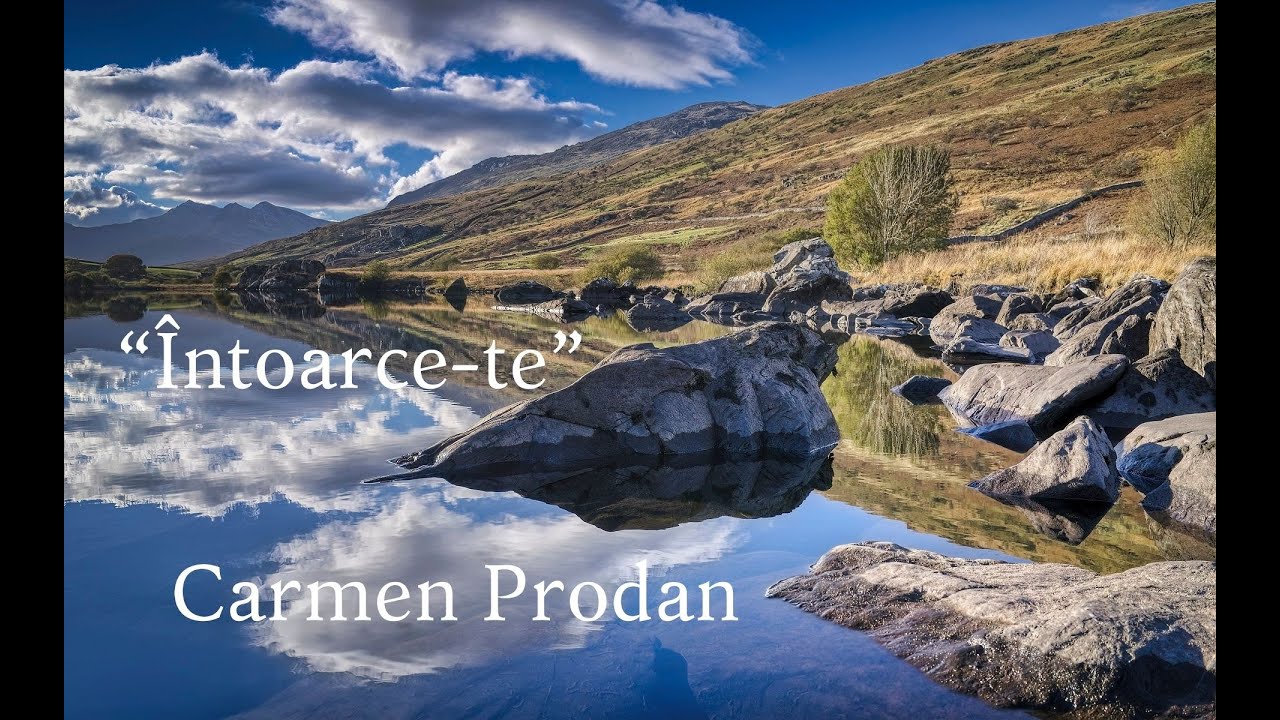 Carmen Prodan 
