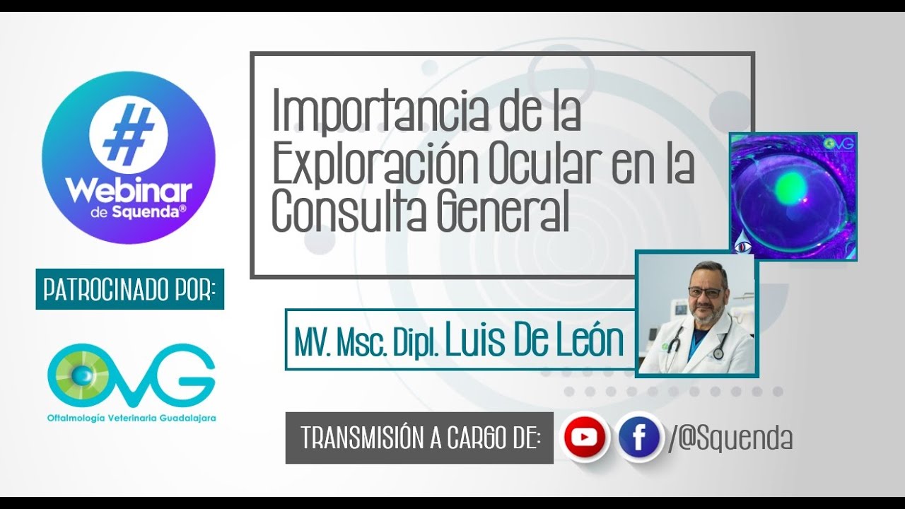 Importancia de la Exploración Ocular en la Consulta General - MV. Msc. Dipl. Luis de León