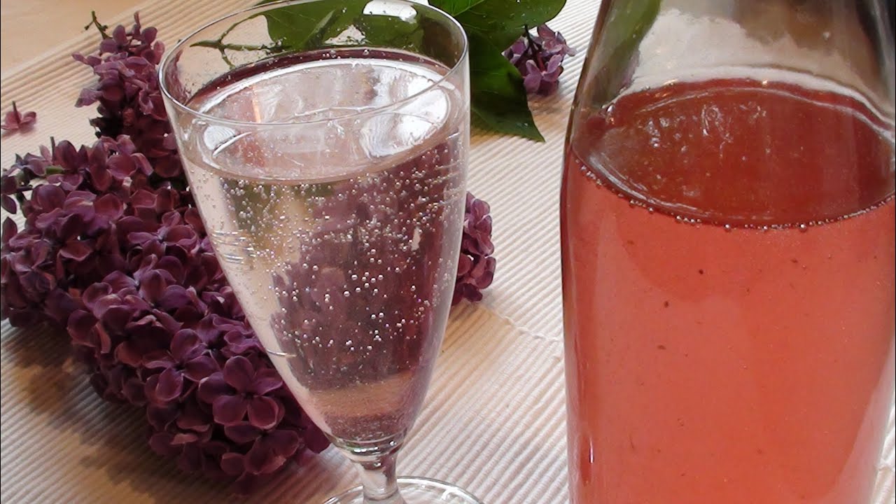 Thermomix® Flieder-Sirup-Rezept