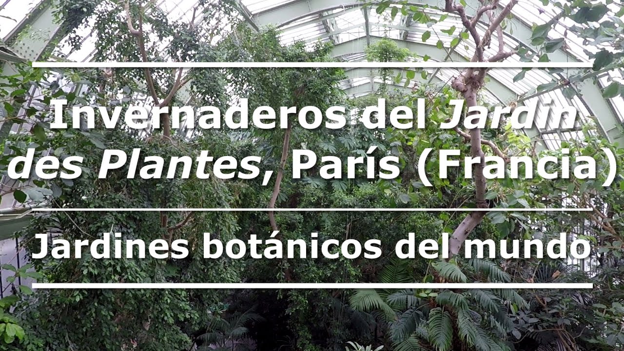 Invernaderos del Jardín des Plantes de París (Francia) | Jardines botánicos del mundo