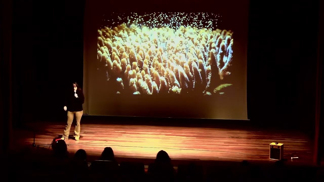 LAS CIENCIAS DE LAS ESTRELLAS   Teatro Clarín de Soto del Barco